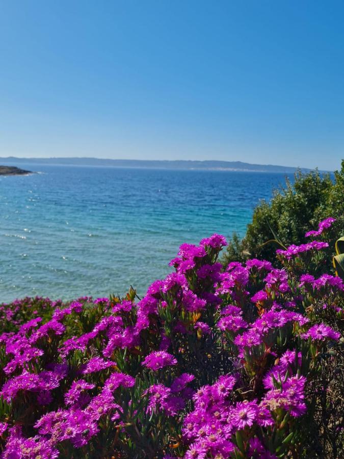 Villa Sa Domu Tabarchina Calasetta Esterno foto